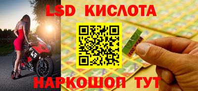 стафф Новозыбков