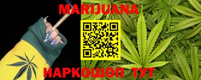 стафф Новозыбков