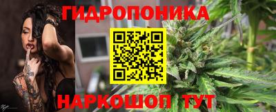 стафф Новозыбков