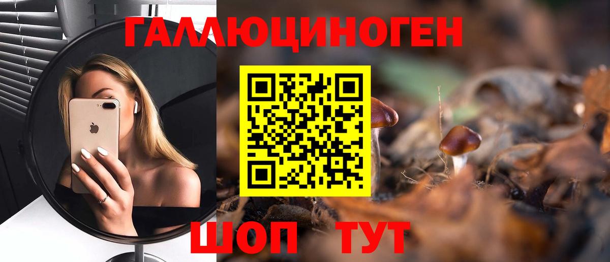 Псилоцибиновые грибы Cubensis Туапсе