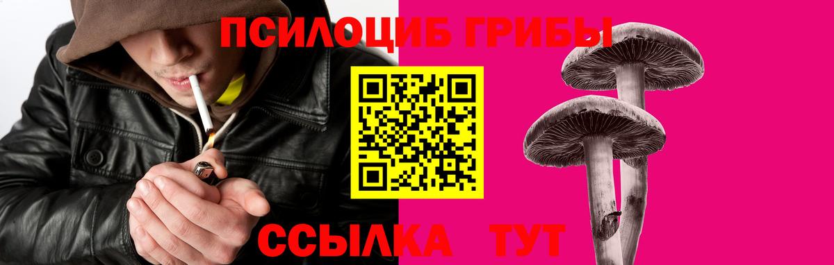 Туапсе  Галлюциногенные грибы GOLDEN TEACHER  Вход с VPN 