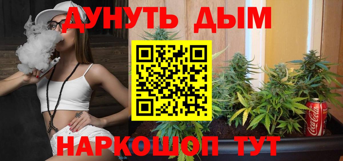Бошки Шишки гибрид Туапсе
